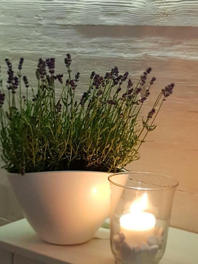 זיילונה גאורה Spa Love Ceglana 1 A Sauna,,Jaccuzi Dla Dwojga Na Wylacznosc מראה חיצוני תמונה